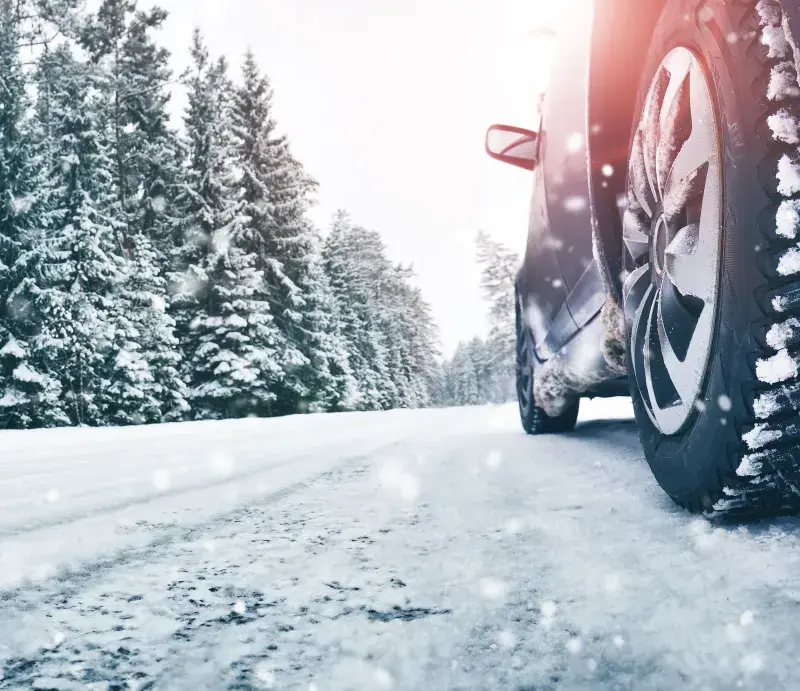Close-up of a car's snow-covered tire on a snowy road lined with snow-laden evergreen trees.