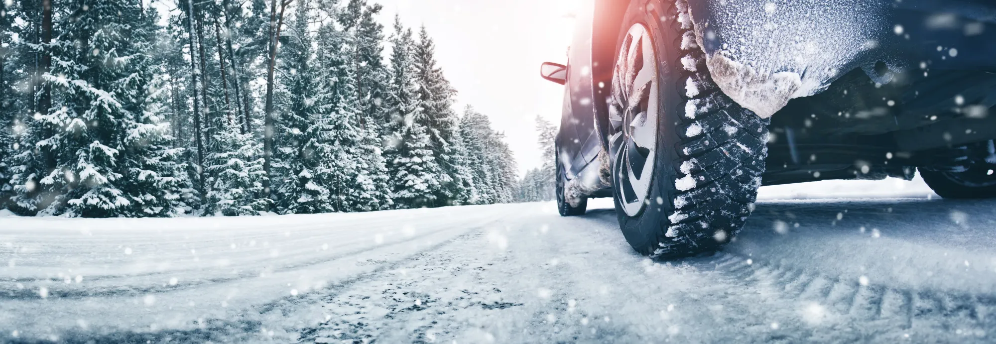 Close-up of a car's snow-covered tire on a snowy road lined with snow-laden evergreen trees.